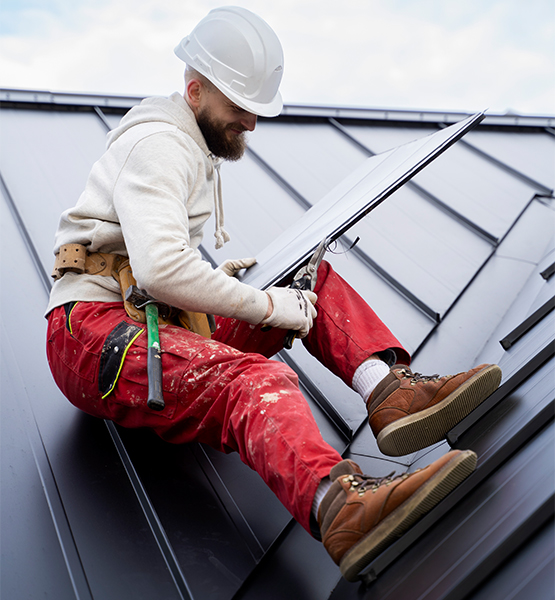 Professional Roofing Services